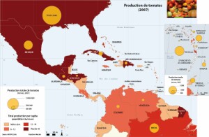11-14-5_Agri-tomate_FR